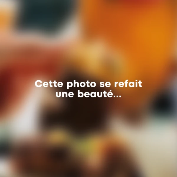 Plan de travail 1 copie 2 2
